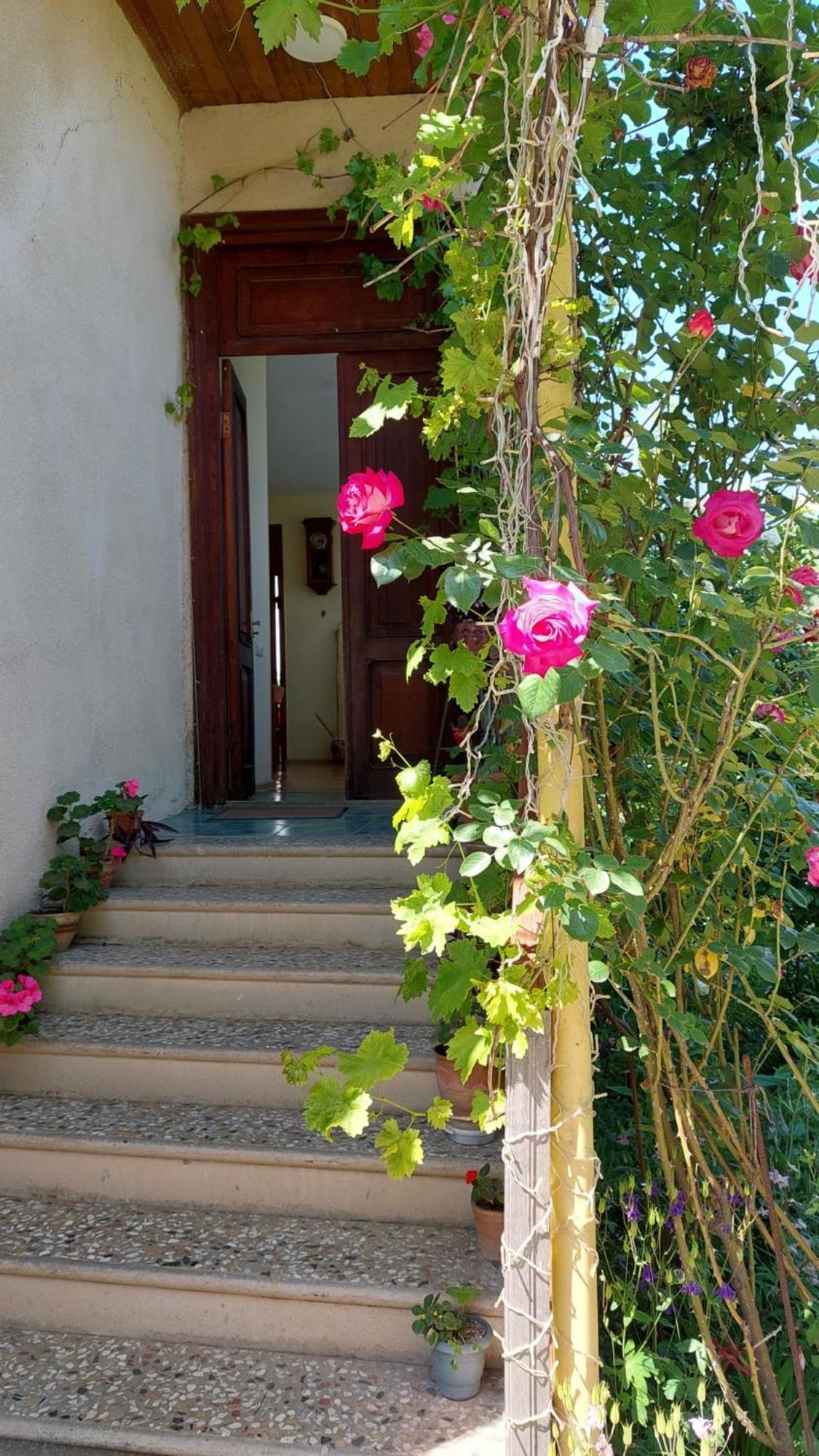 Guesthouse "Door" In Sighnaghi Exteriör bild